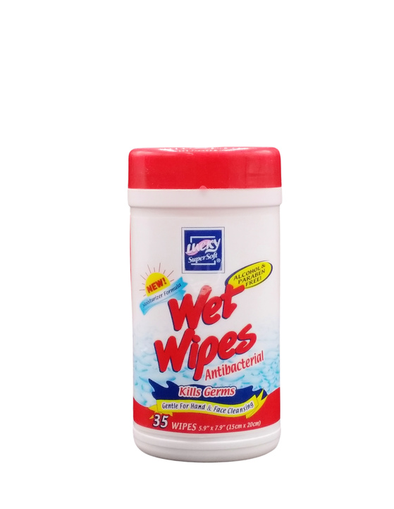 HOME SELECT WIPES ANT  12X40CT