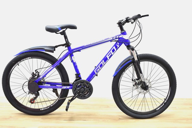 NM BICYCLE 24" FDD-24-BLUE 