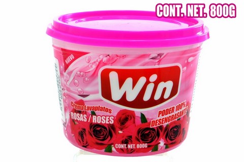 NM WIN DISH PASTE 12X800G WIN80057 