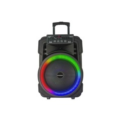 PREMIER SPEAKER 15"  BB-8129TBBR15SBW
