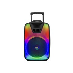 PREMIER SPEAKER 15"  BB-8130TBBR15SBW