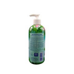 LUCKY ROUND LIQUID SOAP EUCL+MINT  12X13OZ
