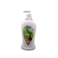 LUCKY LIQUID SOAP ALOE  12X14OZ