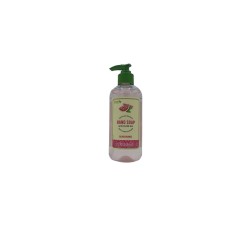 PERSONAL CARE LIQUID SOAP OLIVE  12X12OZ