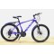 NM BICYCLE 24" FDD-24-BLUE 