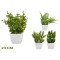 NM ARTIFICIAL PLANT 84256 